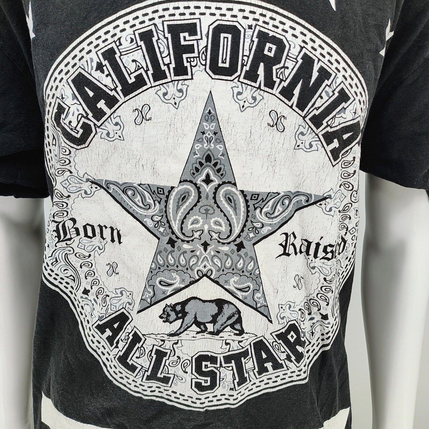 Vintage 1990s Streetwear Pro Club "California All Star Born Raised" T-Shirt (XL)