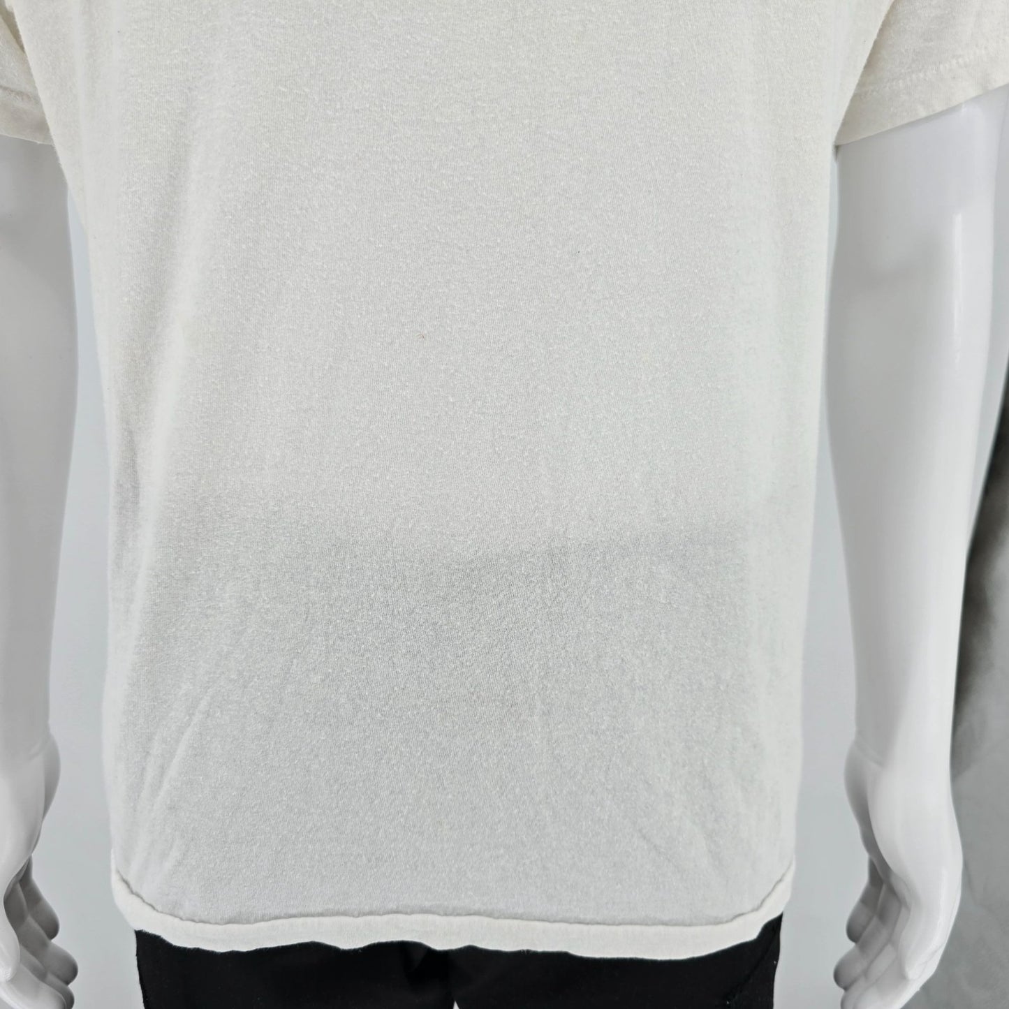 Vintage Y2K/ Early 2000s Hanes White Blank Single Stitch Cotton T-Shirt (L/XL)