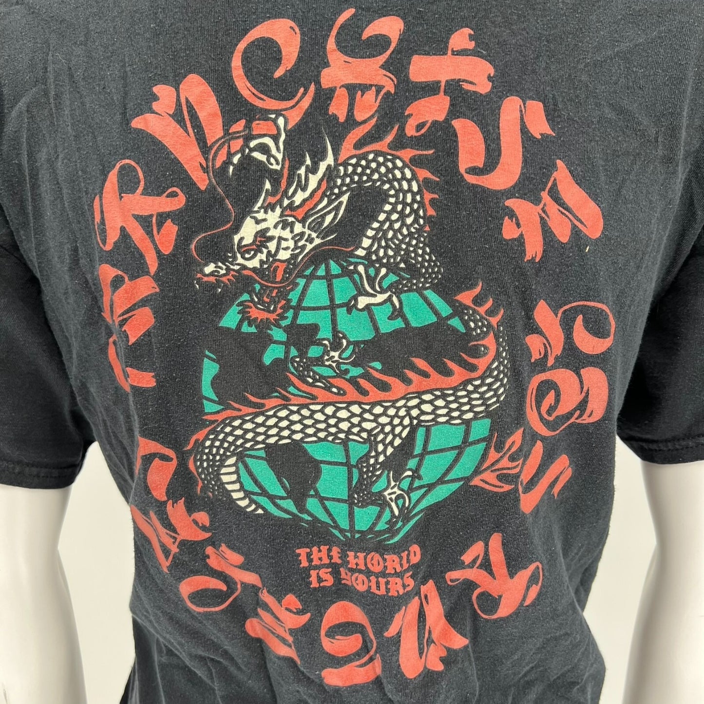 Black Franchise Los Angeles "The World is Yours" Dragon Graphic T-Shirt (Large)
