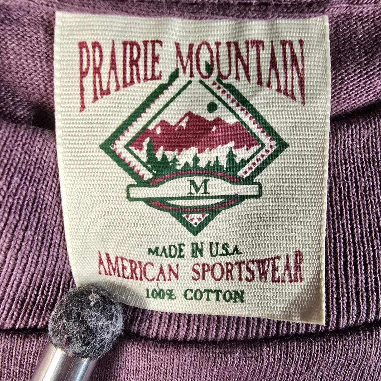 Vintage 1990s Prairie Mountain New Mexico Petroglyph Graphic T-Shirt (M)