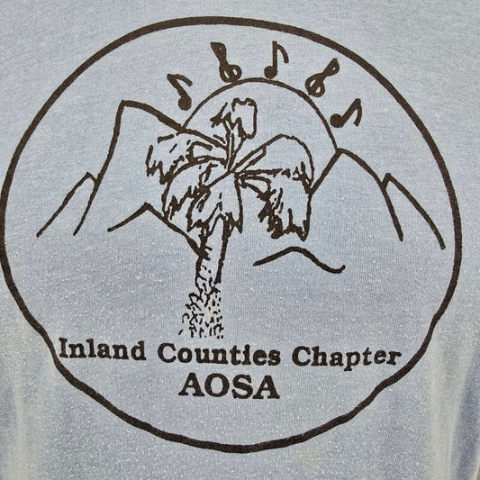 Vintage 1980s Blue Screen Stars Inland Counties Chapter AOSA T-Shirt (M)