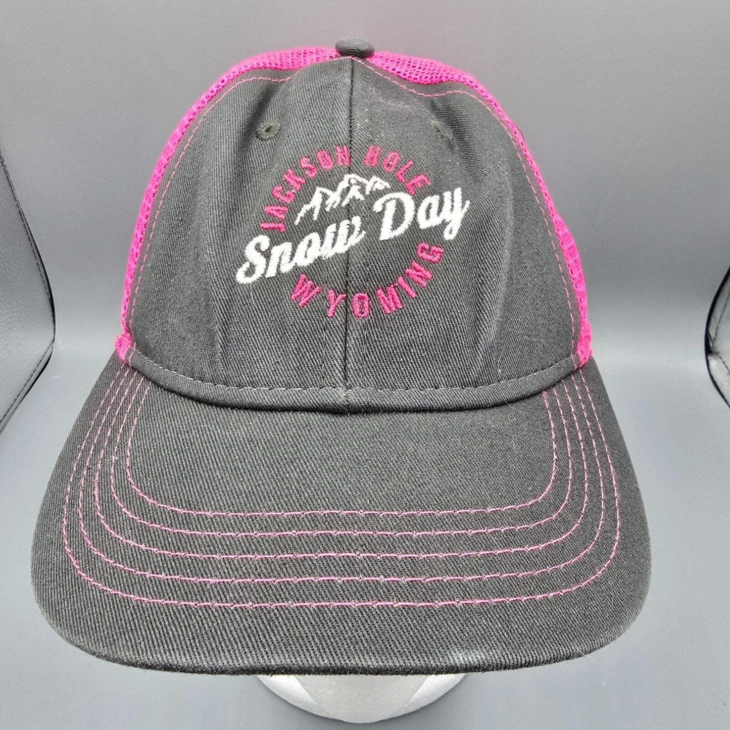 Jackson Hole Snow Day Wyoming '14 Gray and Pink Ouray Youth Sideline Mesh Cap