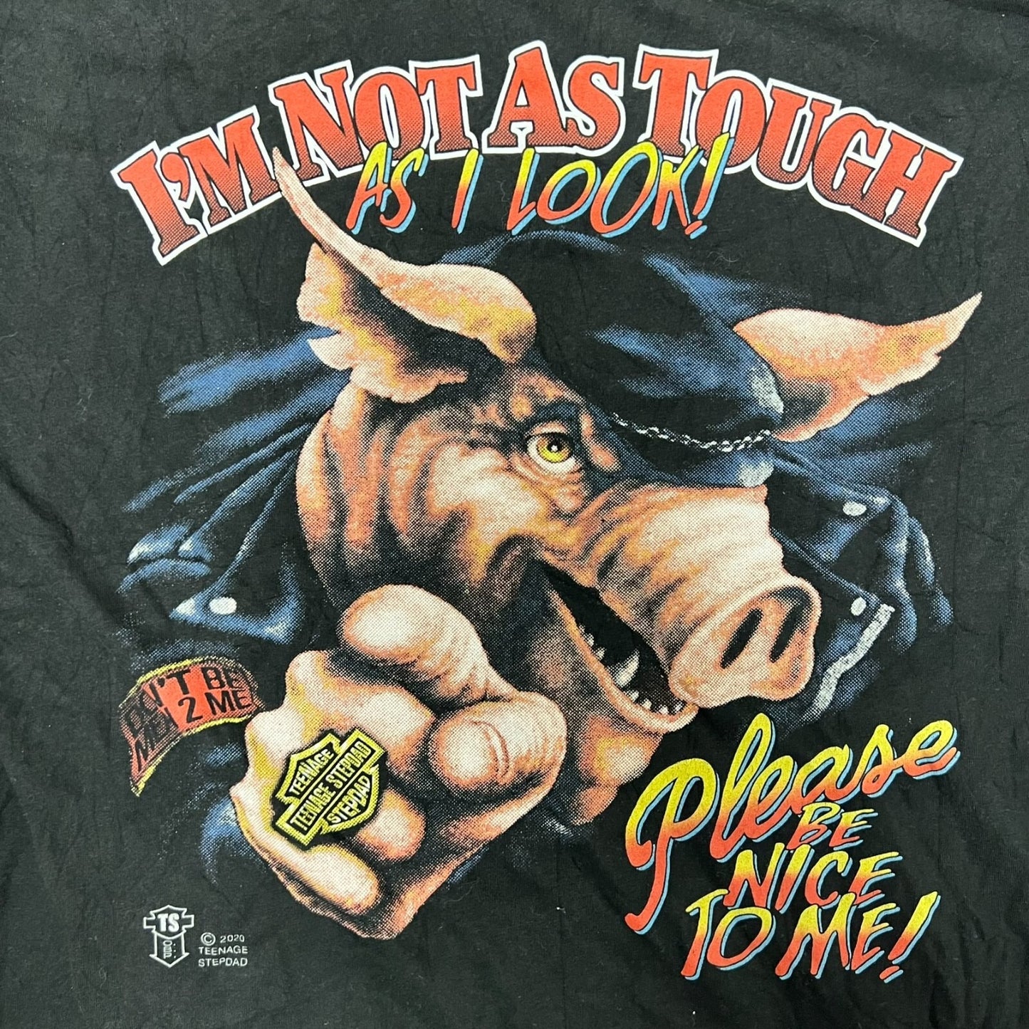 Teenage Stepdad "I'm Not As Tough as I Look Please Be Nice to Me" T-Shirt (XL)