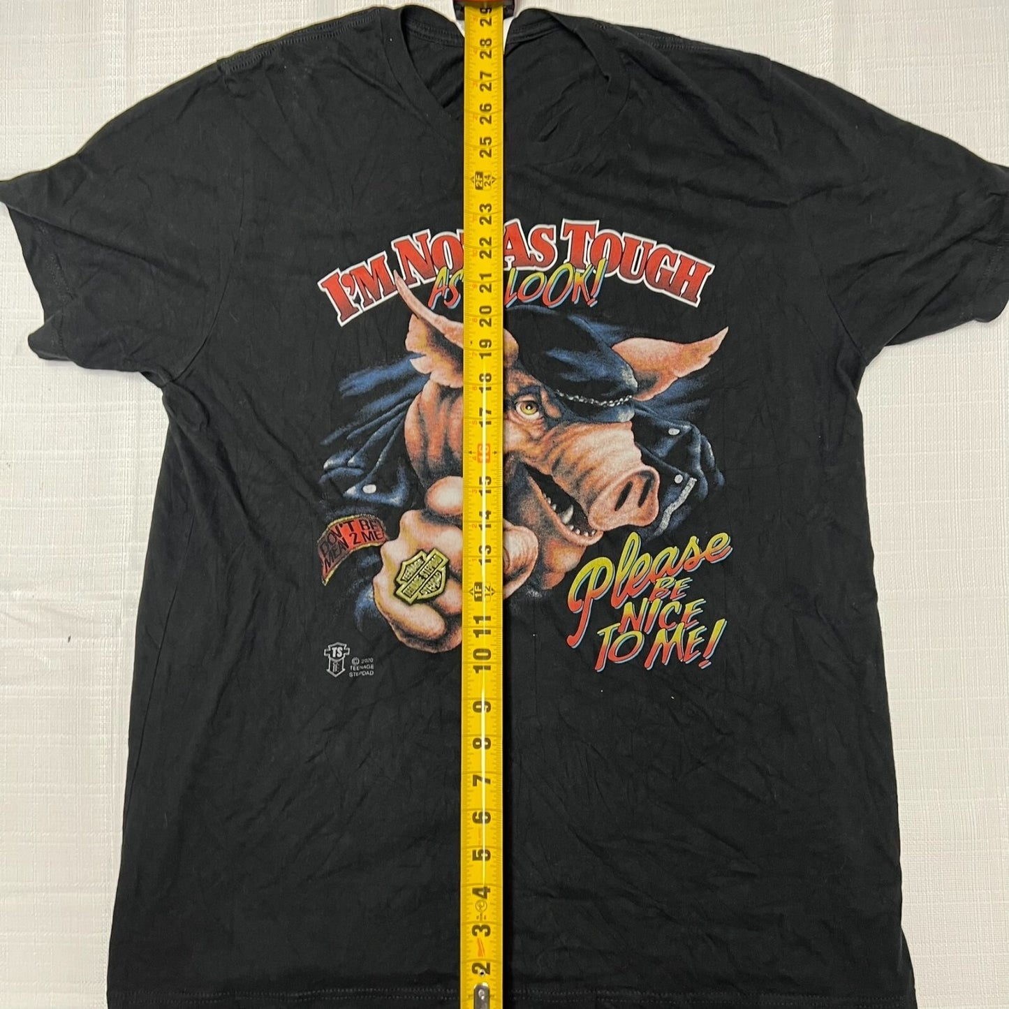 Teenage Stepdad "I'm Not As Tough as I Look Please Be Nice to Me" T-Shirt (XL)