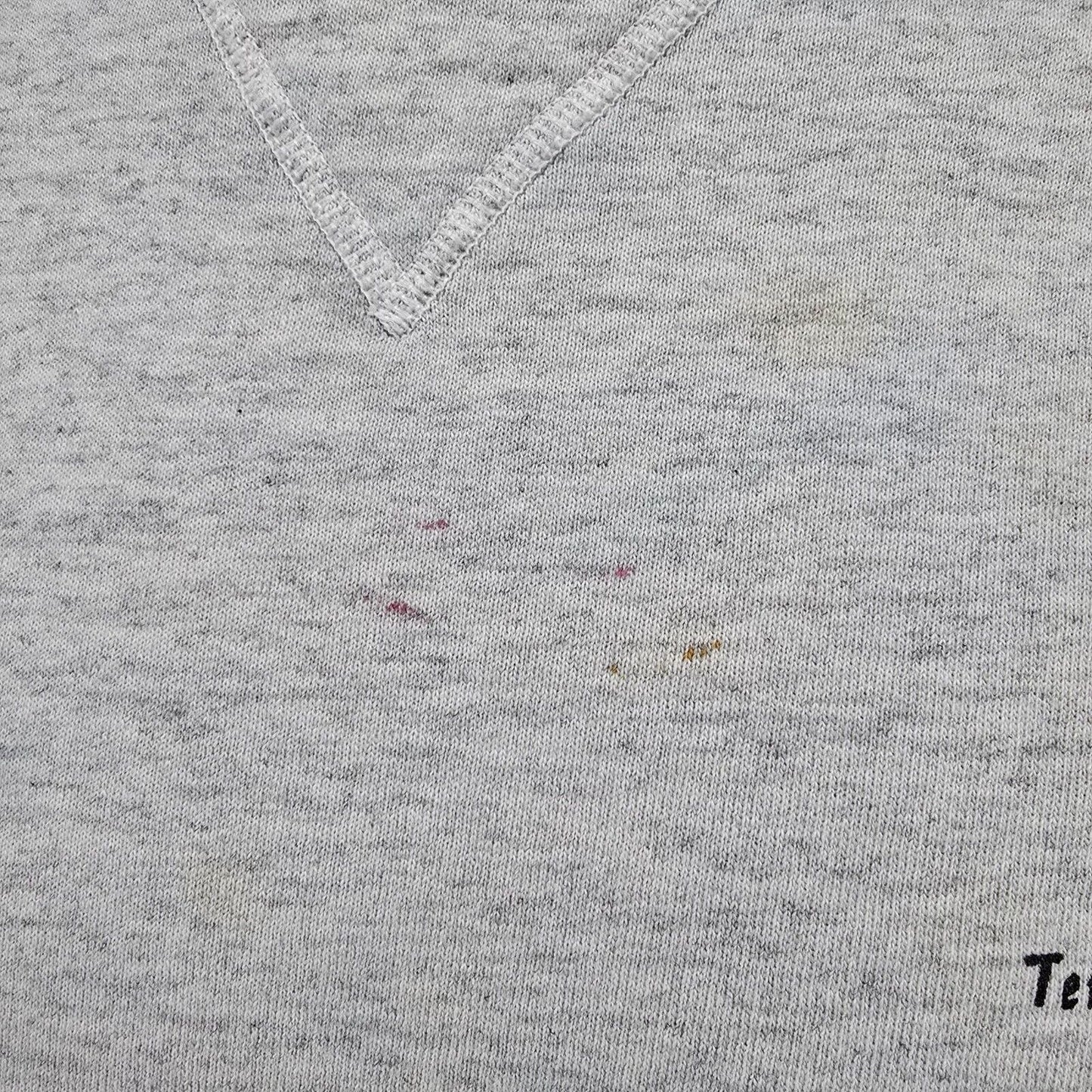 Vintage Y2K Stained Hanes Beefy-T Tennessee Walking Horse Sweatshirt (Large)