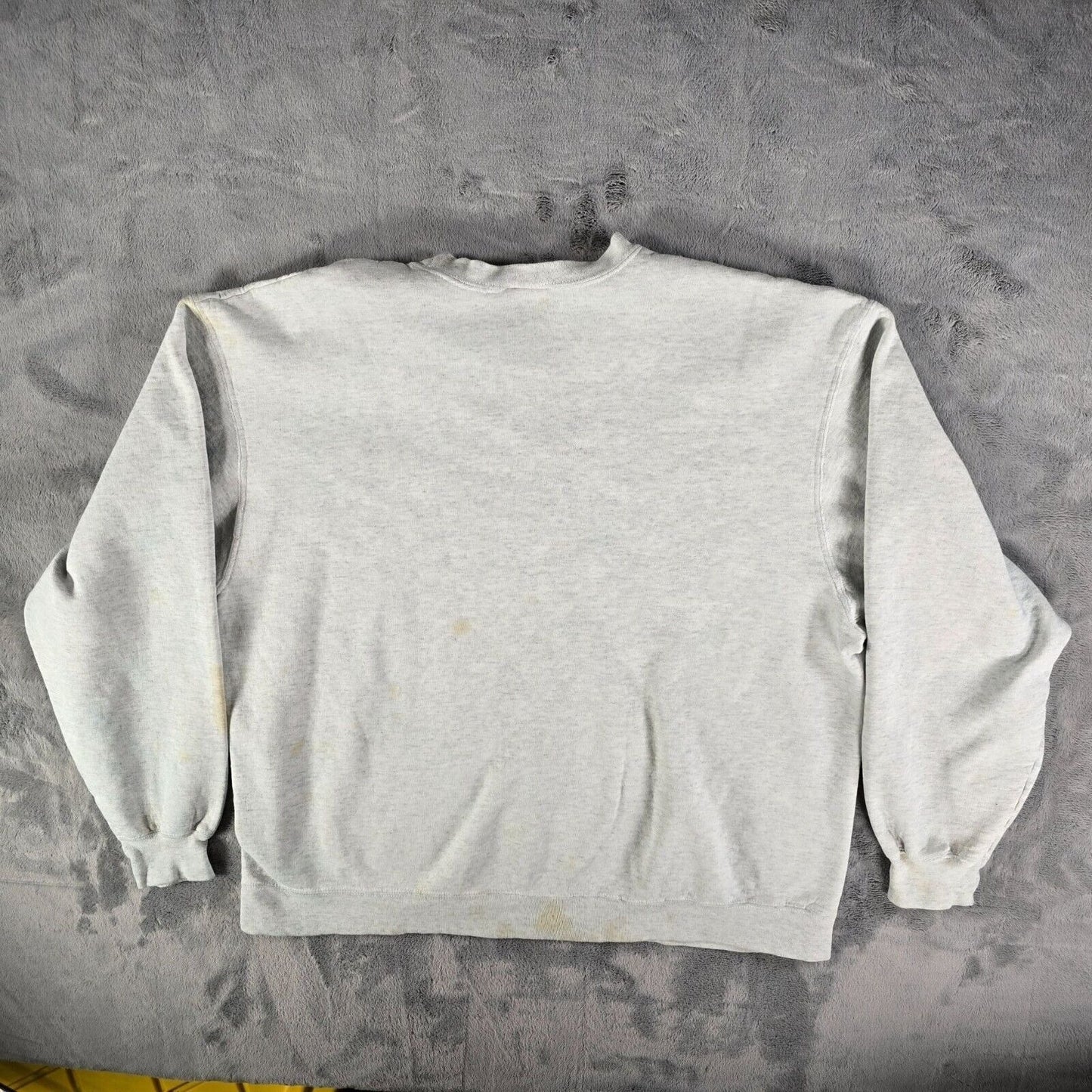 Vintage Y2K Stained Hanes Beefy-T Tennessee Walking Horse Sweatshirt (Large)