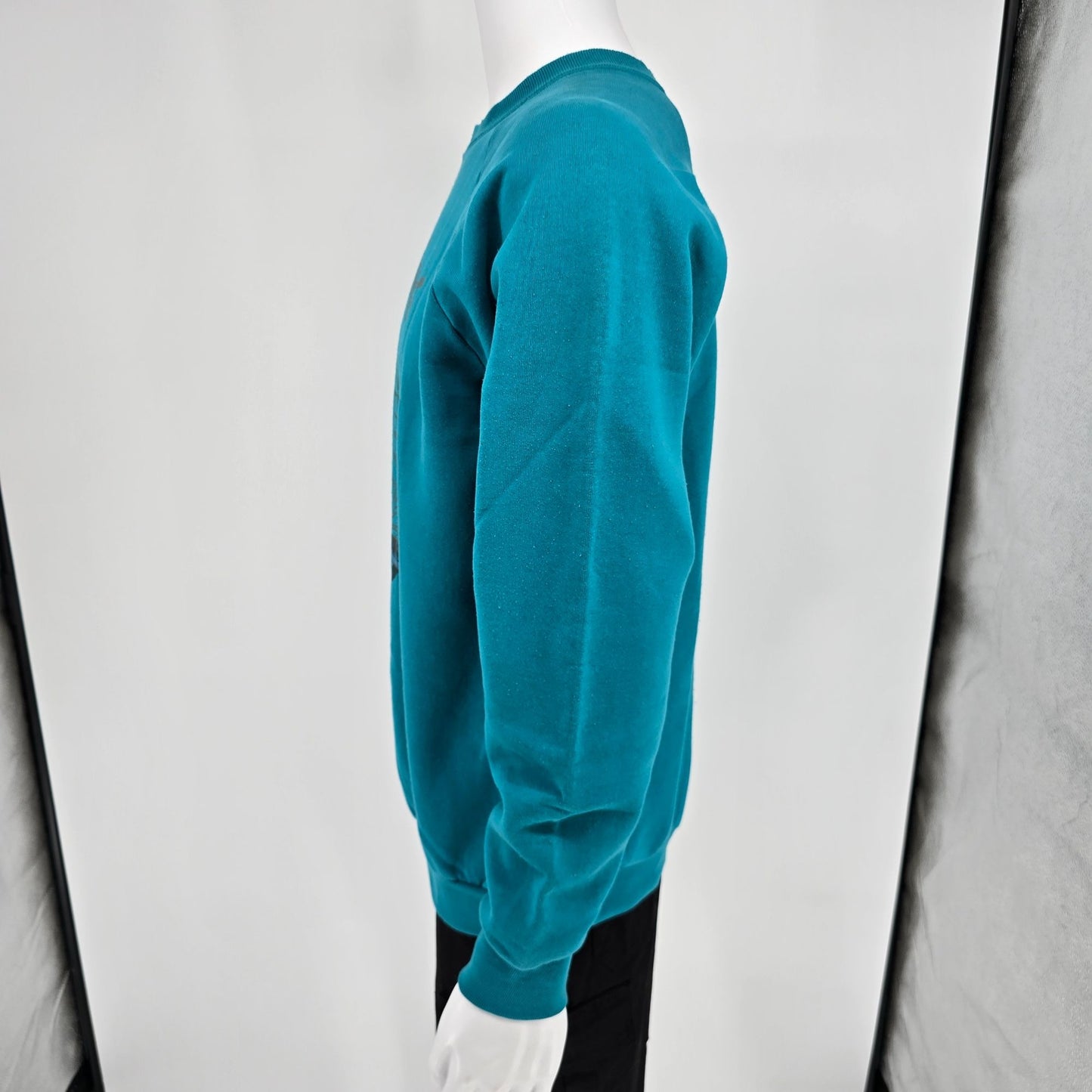 Vintage 1990s Fruit of the Loom "Class Du Monde" Raglan Sleeve Sweatshirt (L/XL)