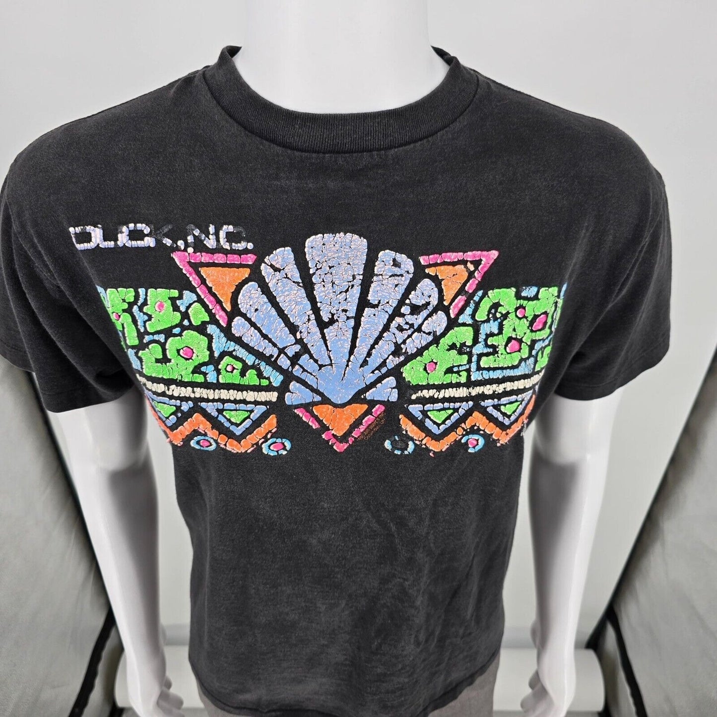 Vintage 1990s Distressed Duck, NC Single Stitch Art Deco Graphic T-Shirt (M/L)