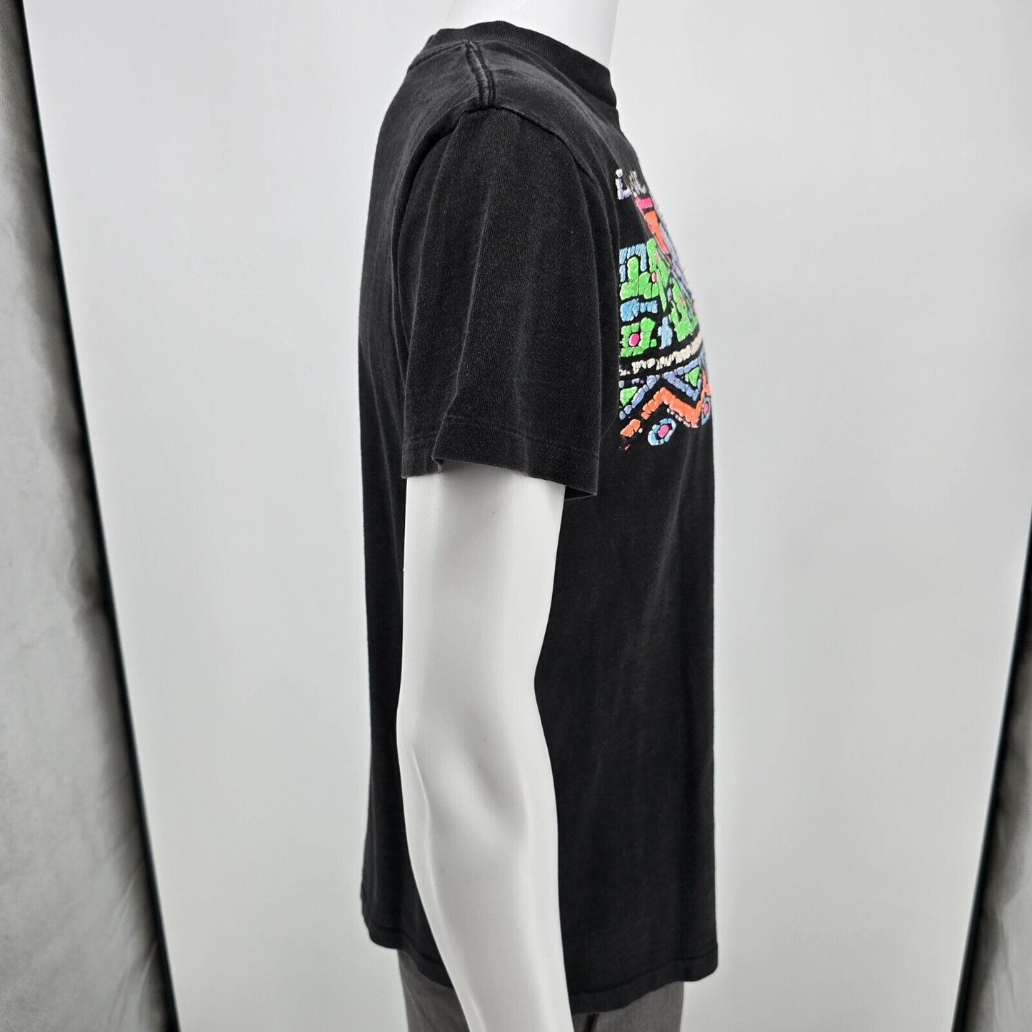Vintage 1990s Distressed Duck, NC Single Stitch Art Deco Graphic T-Shirt (M/L)