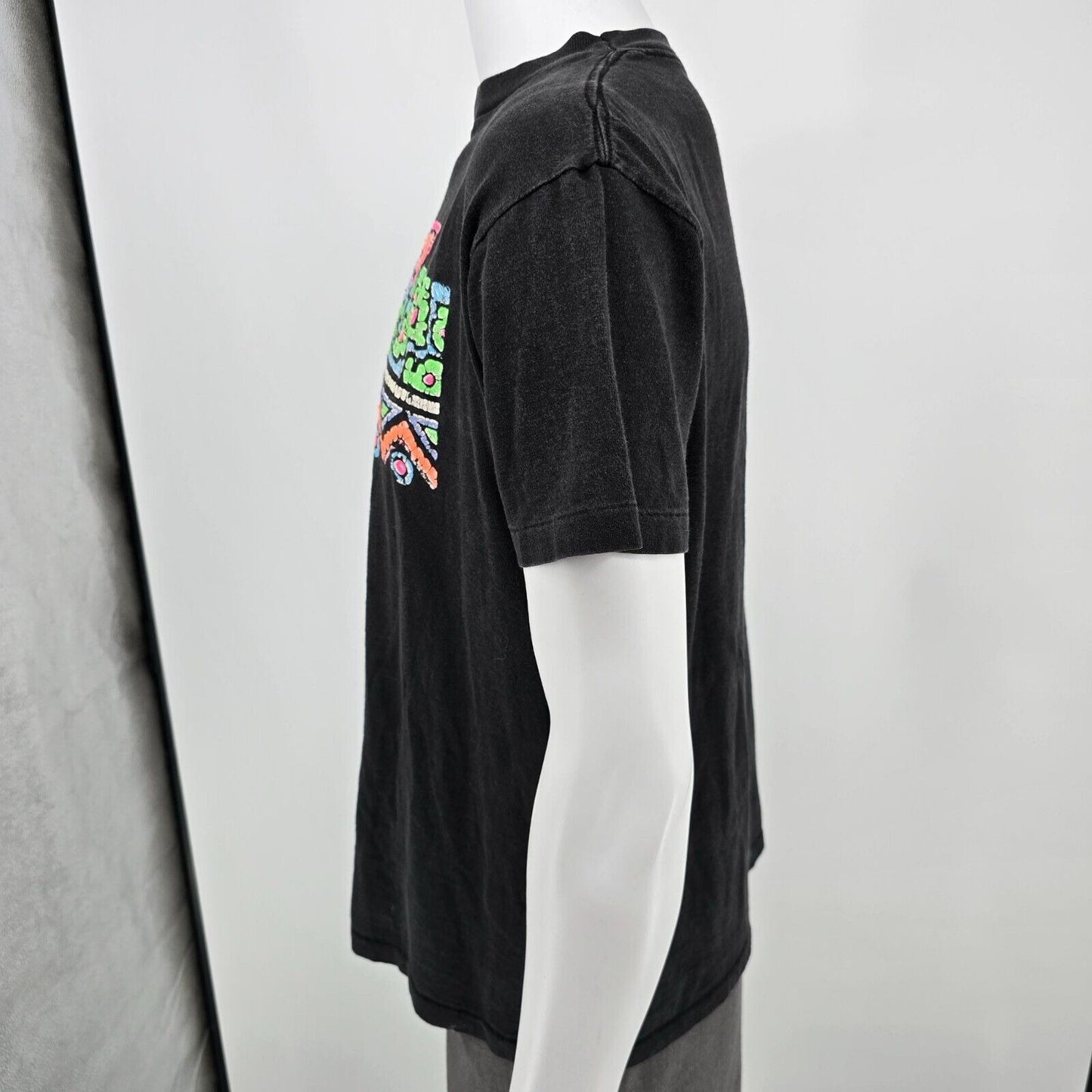 Vintage 1990s Distressed Duck, NC Single Stitch Art Deco Graphic T-Shirt (M/L)