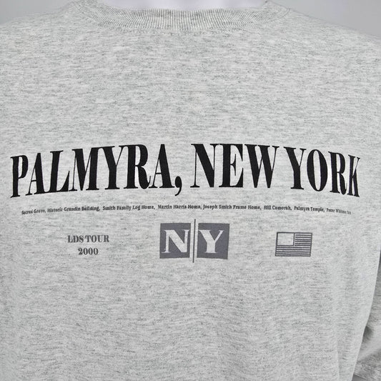 Vintage Y2K Palmyra, New York LDS Tour 2000 Latter-Day Saints Gray T-Shirt (XXL)