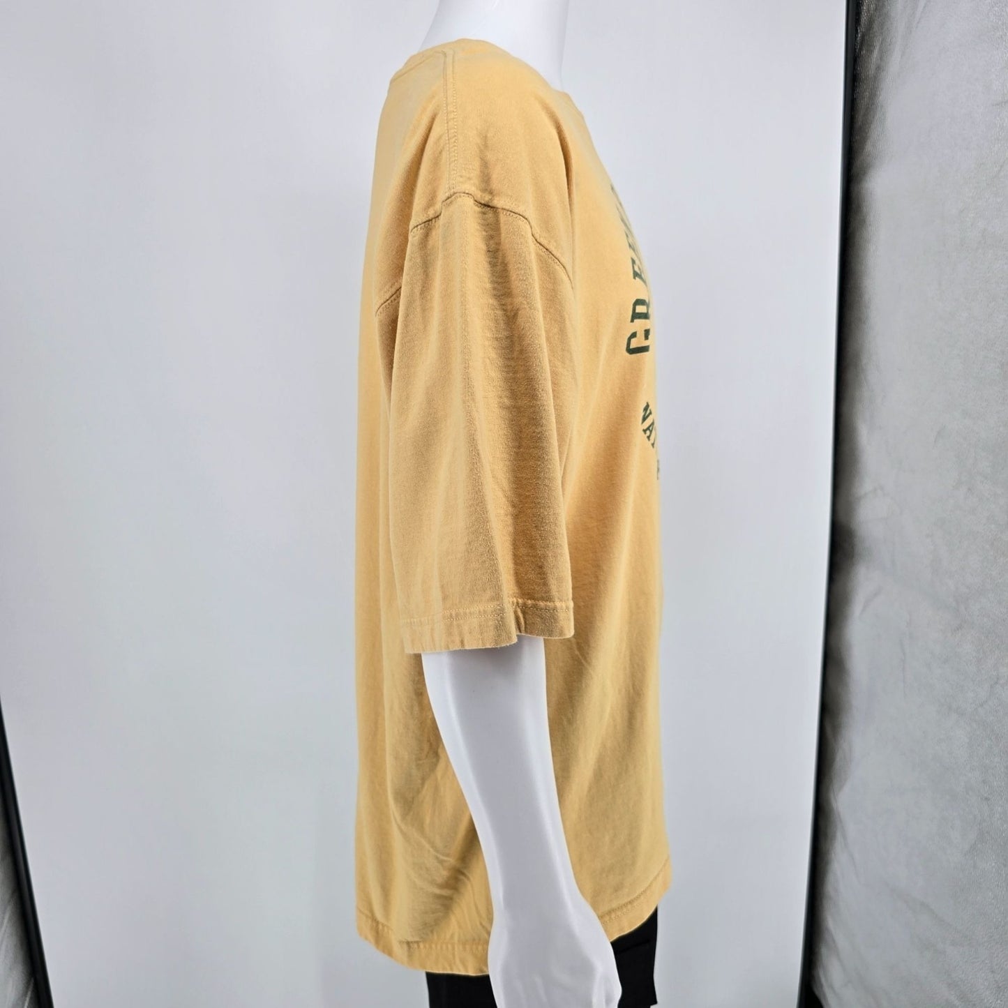 Vintage Y2K Reebok NFL Gridiron Classic Green Bay Packers Helmet T-Shirt (XL)