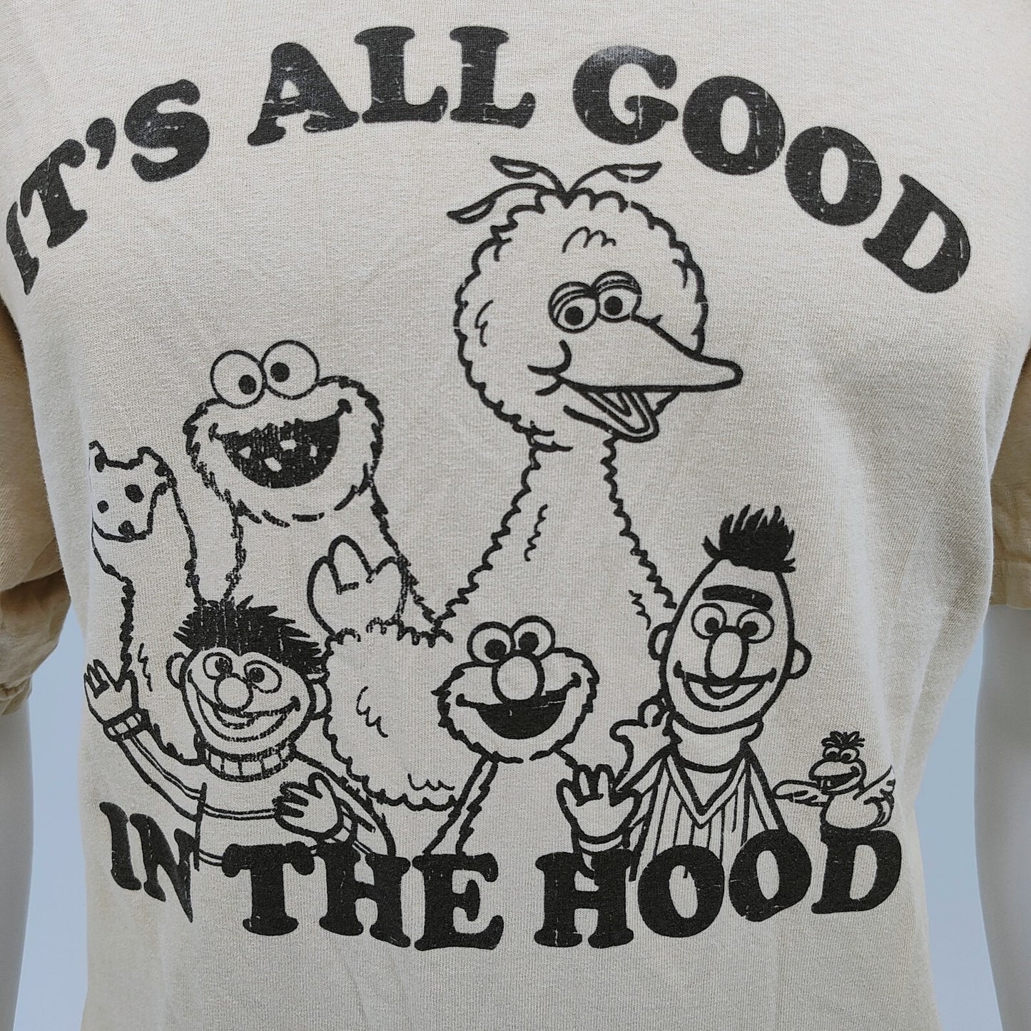 2000s Retro Sesame Street "It's All Good In The Hood" Graphic T-Shirt (Large)