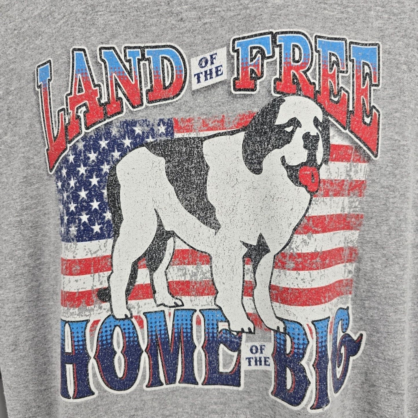 Distressed/Yellowed Big Dogs "Land of the Free Home of the Big" T-Shirt (3XL)