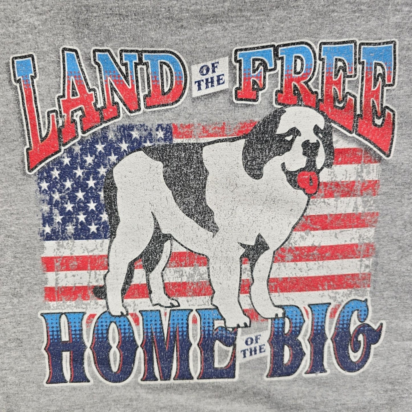 Distressed/Yellowed Big Dogs "Land of the Free Home of the Big" T-Shirt (3XL)