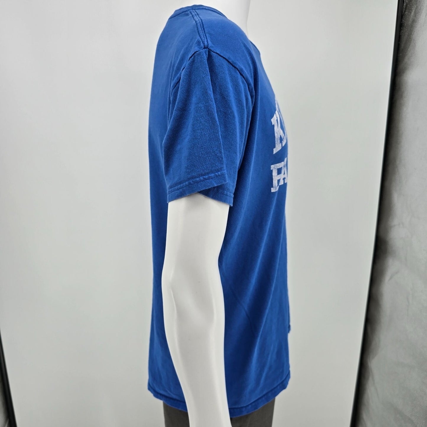 Distressed 2010s Blue Gildan Heavy Cotton Kentucky Basketball T-Shirt (L)