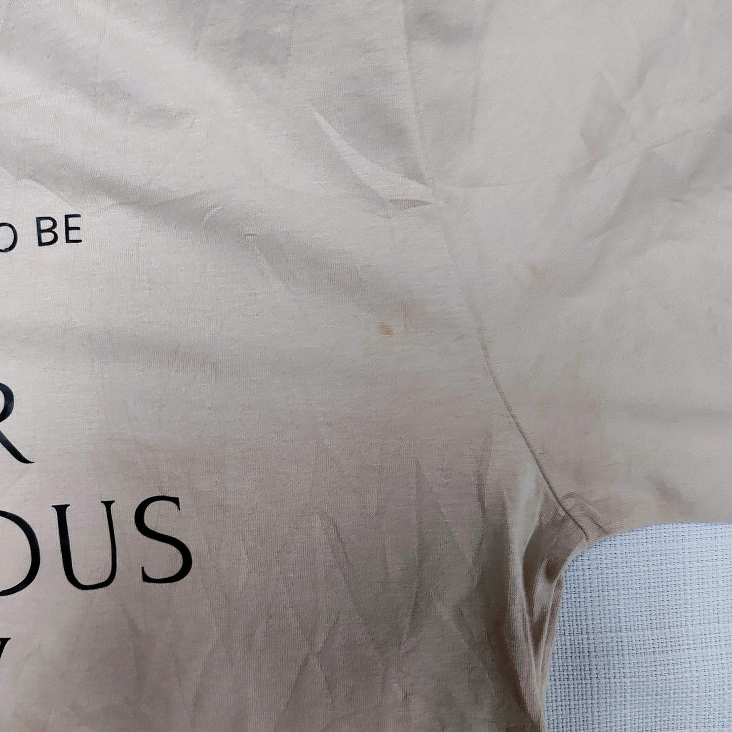 "Today Is Going To Be Your Glorious Day" Statement Womens T-Shirt (Large) *Flaw*