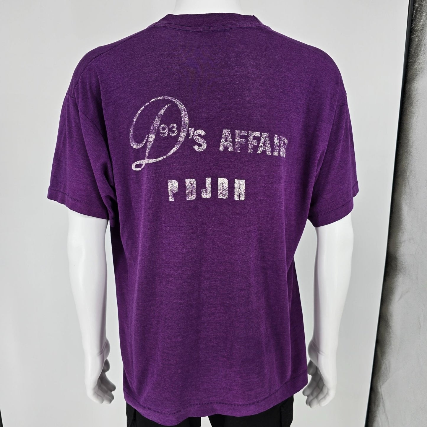 Distressed 1990s Douglas-Davis 1993 Family Reunion Purple T-Shirt (XL)