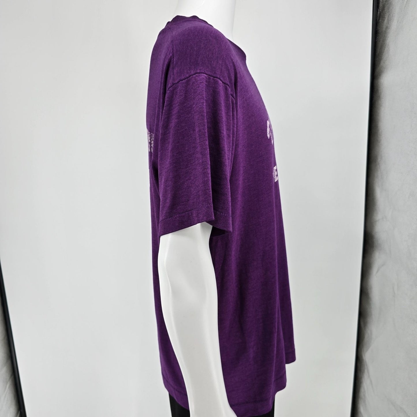 Distressed 1990s Douglas-Davis 1993 Family Reunion Purple T-Shirt (XL)