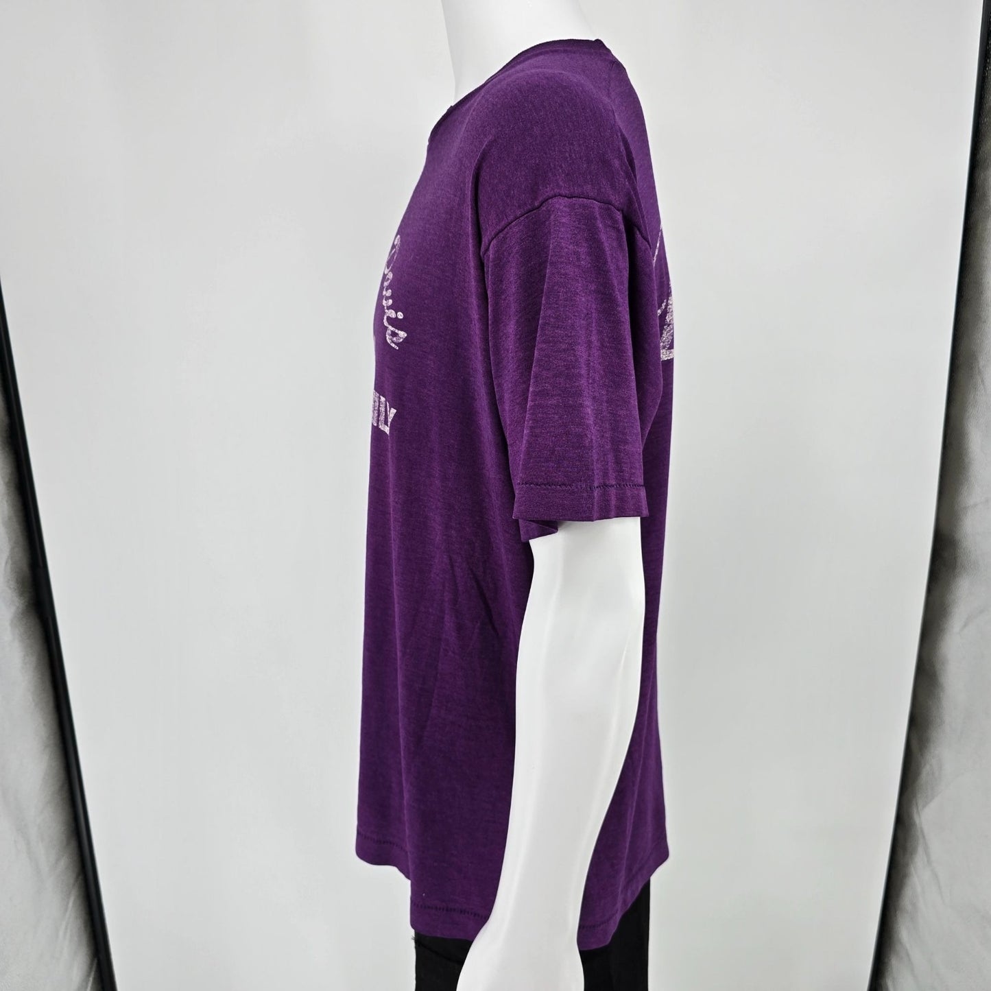 Distressed 1990s Douglas-Davis 1993 Family Reunion Purple T-Shirt (XL)