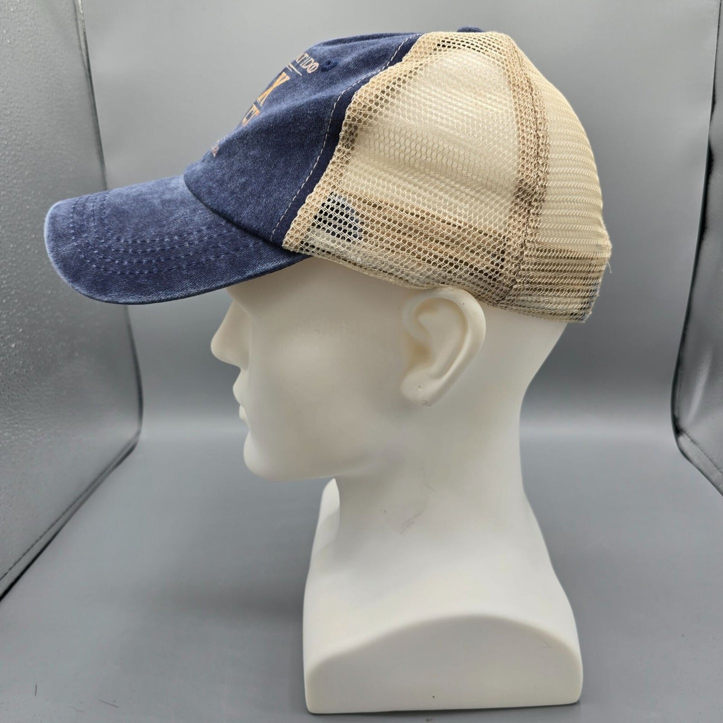 Distressed "That What I Do: I Fix Stuff and I Know Things" Blue Mesh-Back Dad Ha
