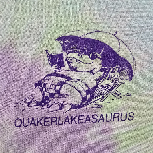 Distressed Vintage 1990s Quaker Lake Quakerlakeasaurus Tie-Dye T-Shirt (S/M)