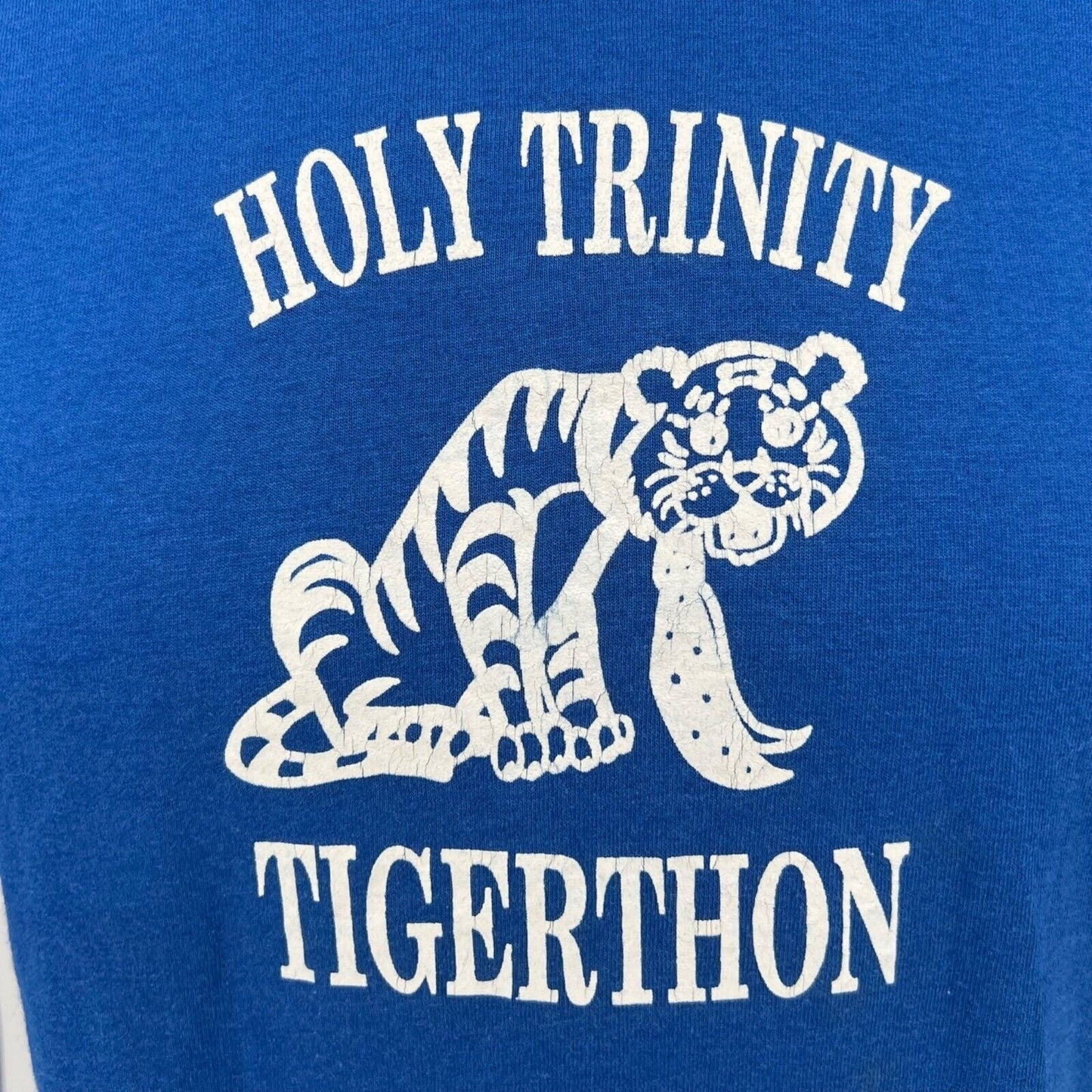 Vintage 1980s/1990s Screen Stars Best Blue Holy Trinity Tigerthon T-Shirt (S)