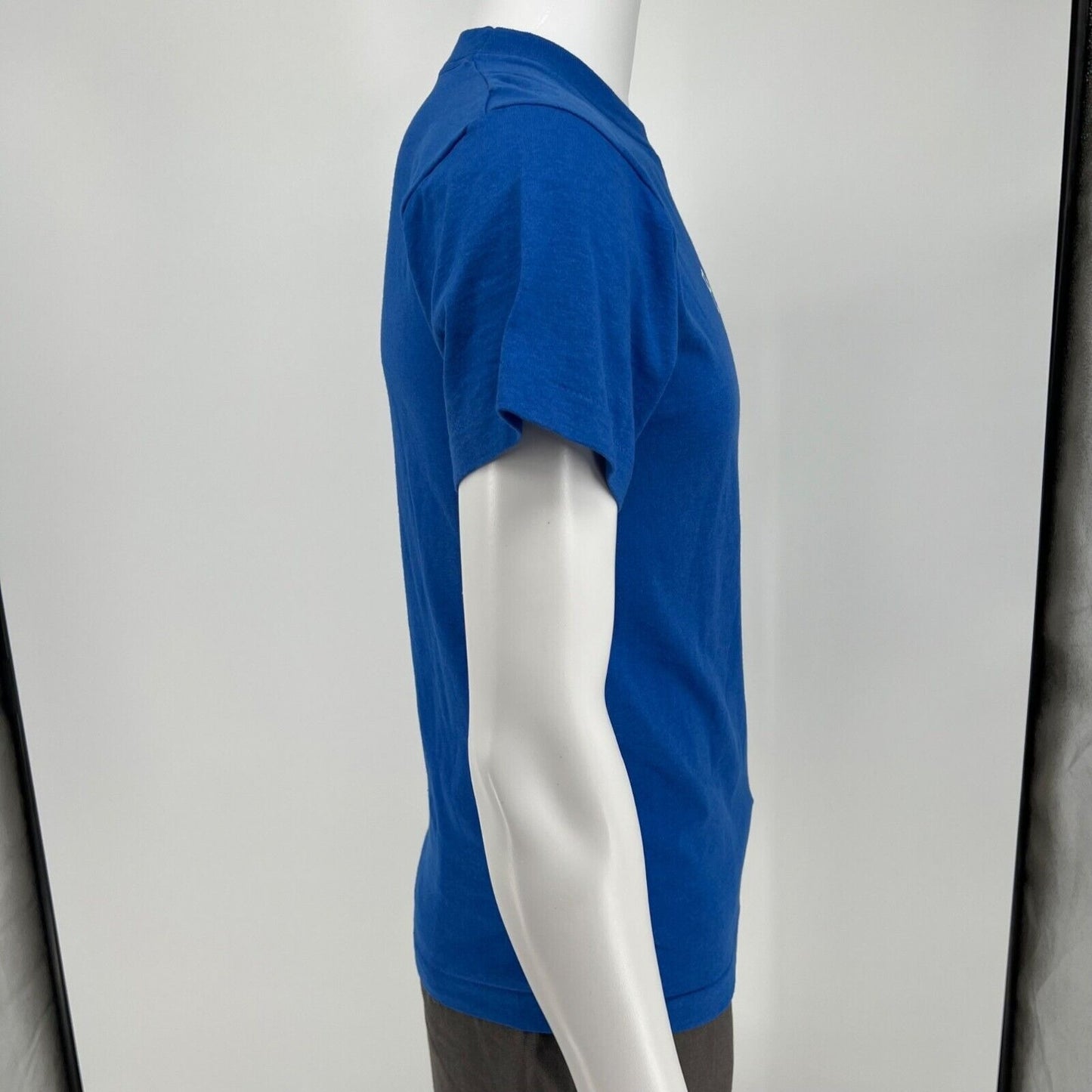 Vintage 1980s/1990s Screen Stars Best Blue Holy Trinity Tigerthon T-Shirt (S)