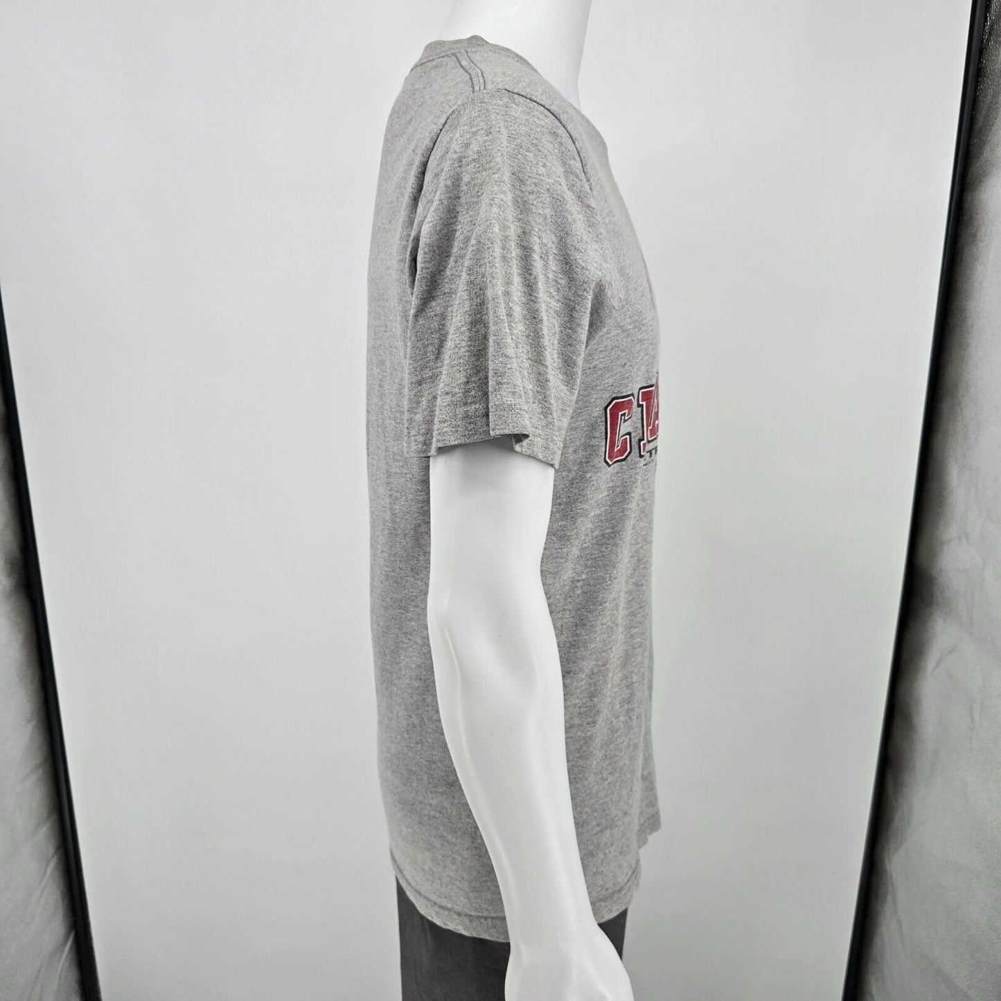 Vintage Lee Sport NHL Detroit Red Wings 2002 Stanley Cup Champions T-Shirt (M)