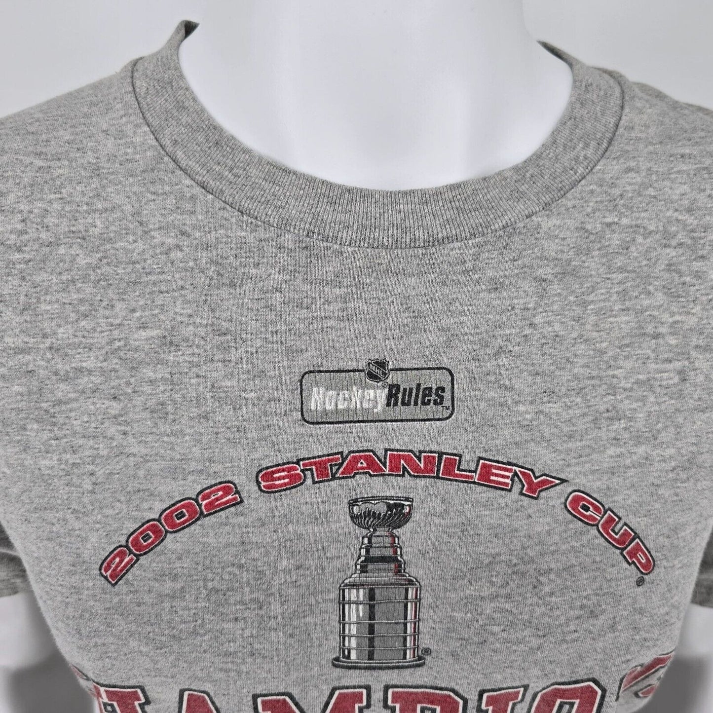 Vintage Lee Sport NHL Detroit Red Wings 2002 Stanley Cup Champions T-Shirt (M)