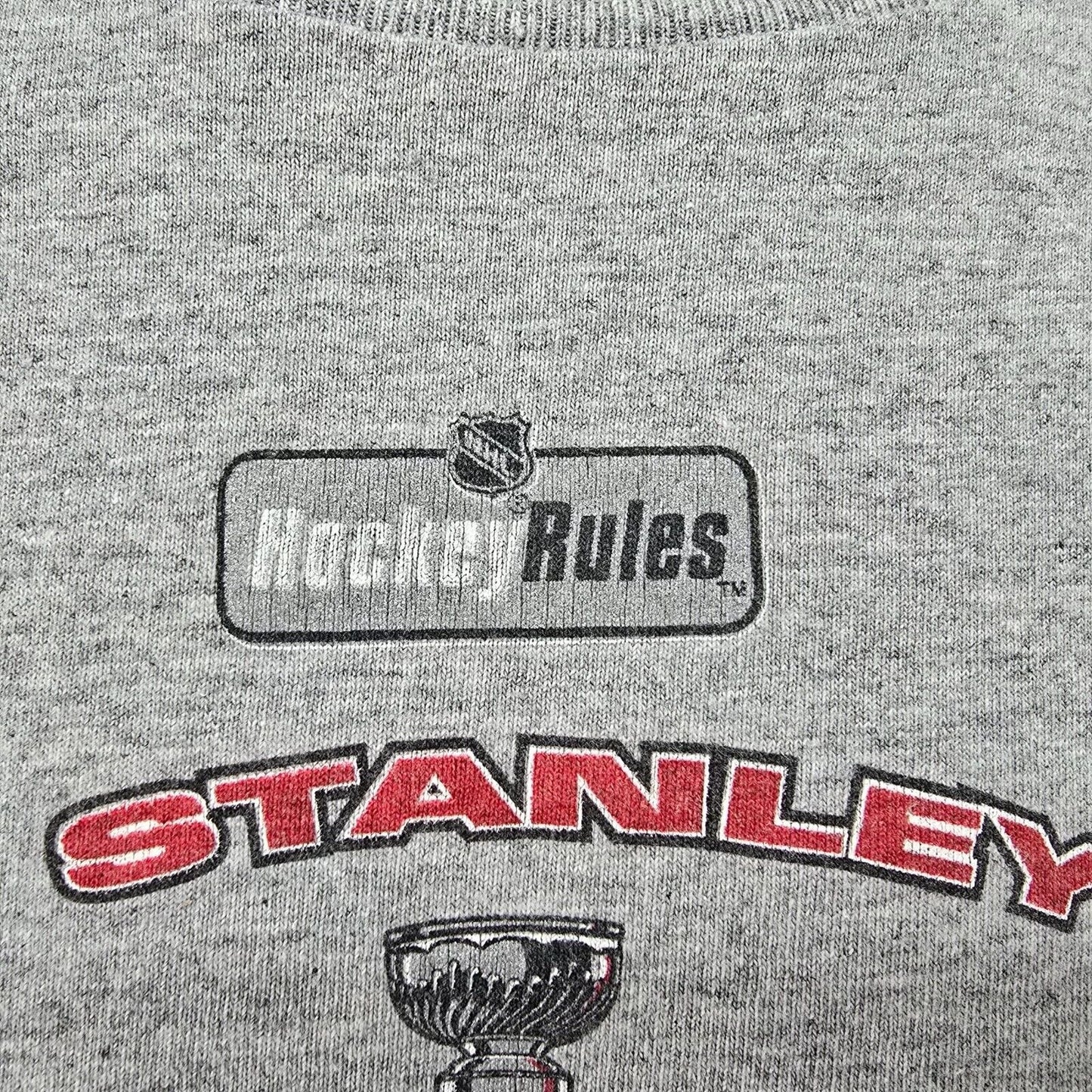 Vintage Lee Sport NHL Detroit Red Wings 2002 Stanley Cup Champions T-Shirt (M)