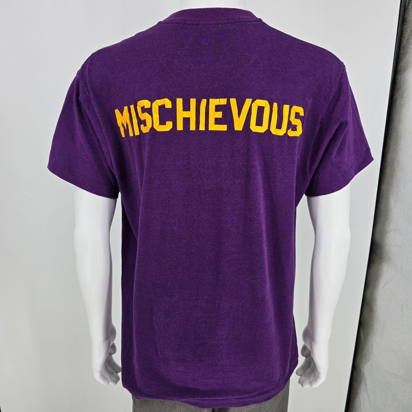 Vintage Single Stitch Nobody Does It Better... Freshmen '90 Purple T-Shirt (L)