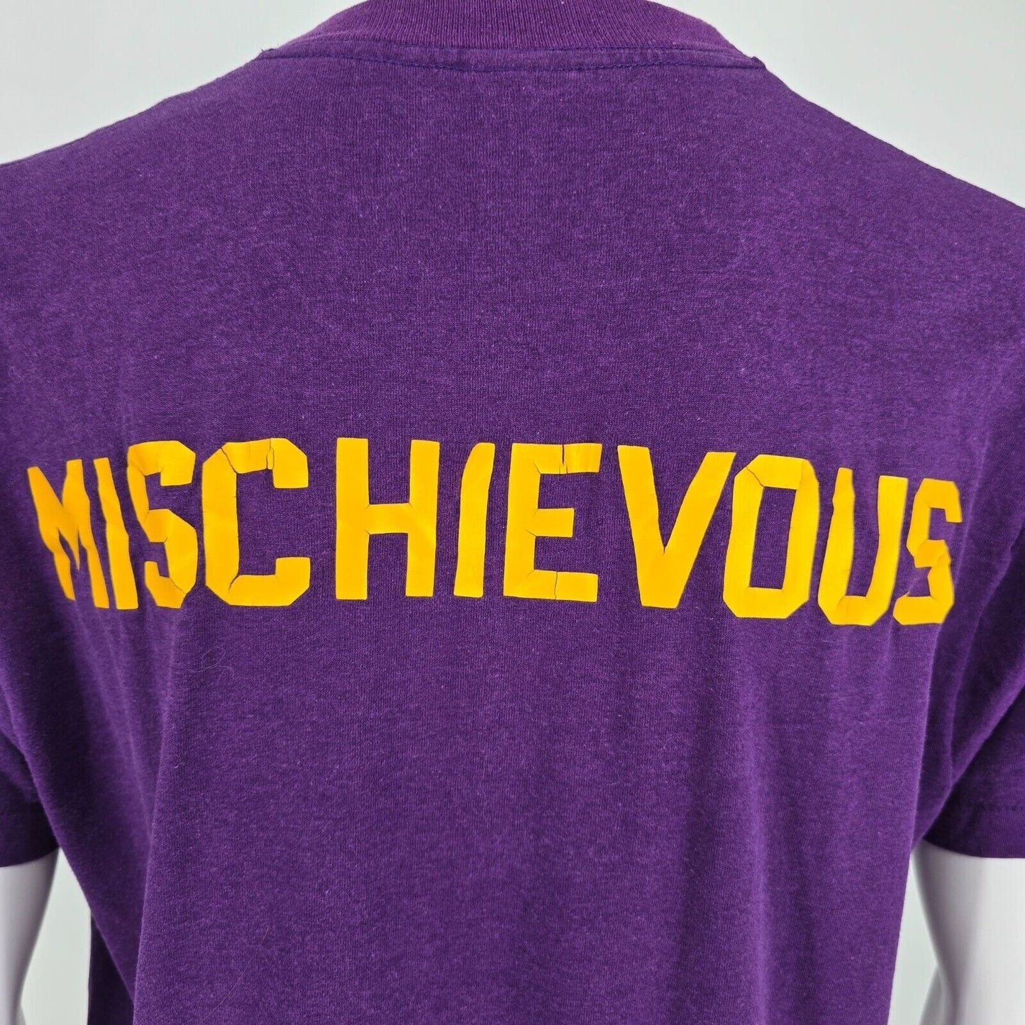 Vintage Single Stitch Nobody Does It Better... Freshmen '90 Purple T-Shirt (L)