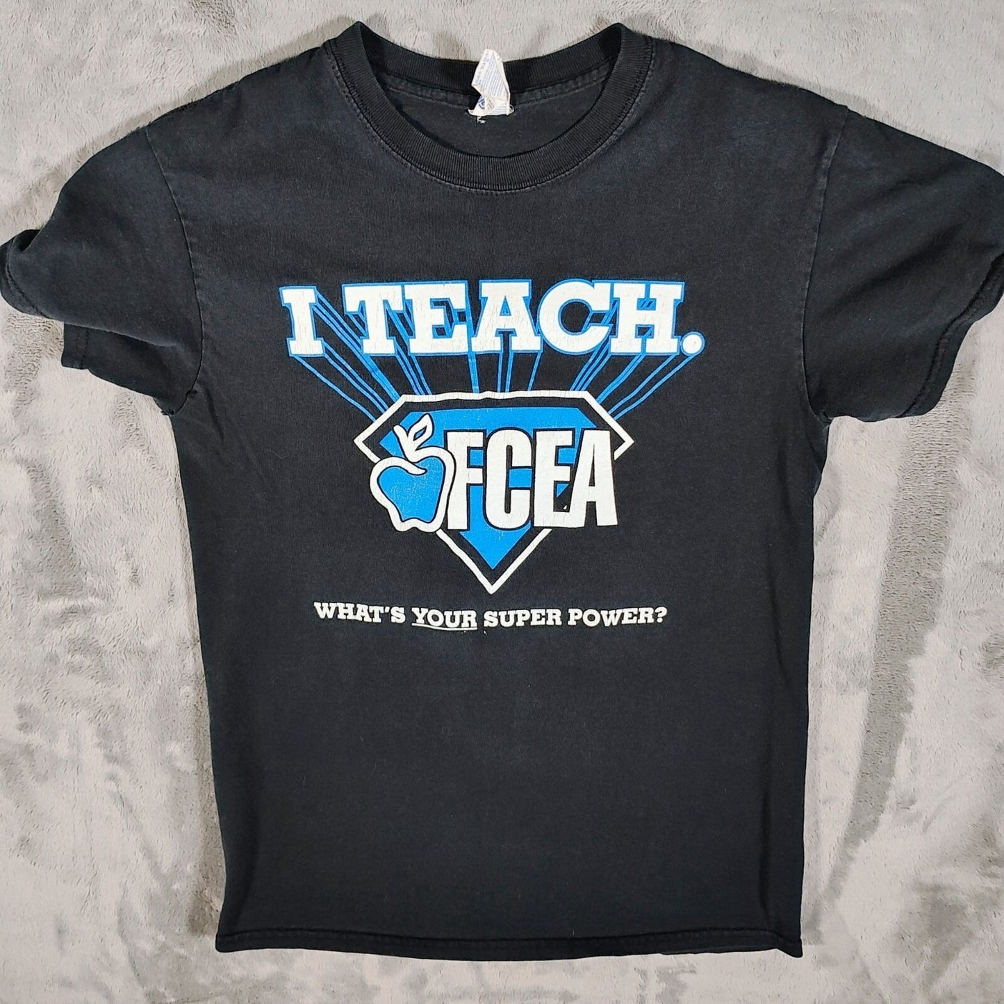 Fayette County Education Association "I Teach" Lexington, KY T-Shirt (S) *Fair*