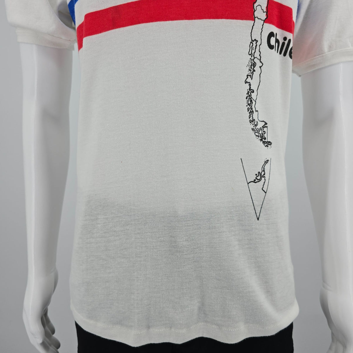 Vintage 1980s YAI/Minuet Santiago Chile Flag Stripe Souvenir T-Shirt (M) *Stains