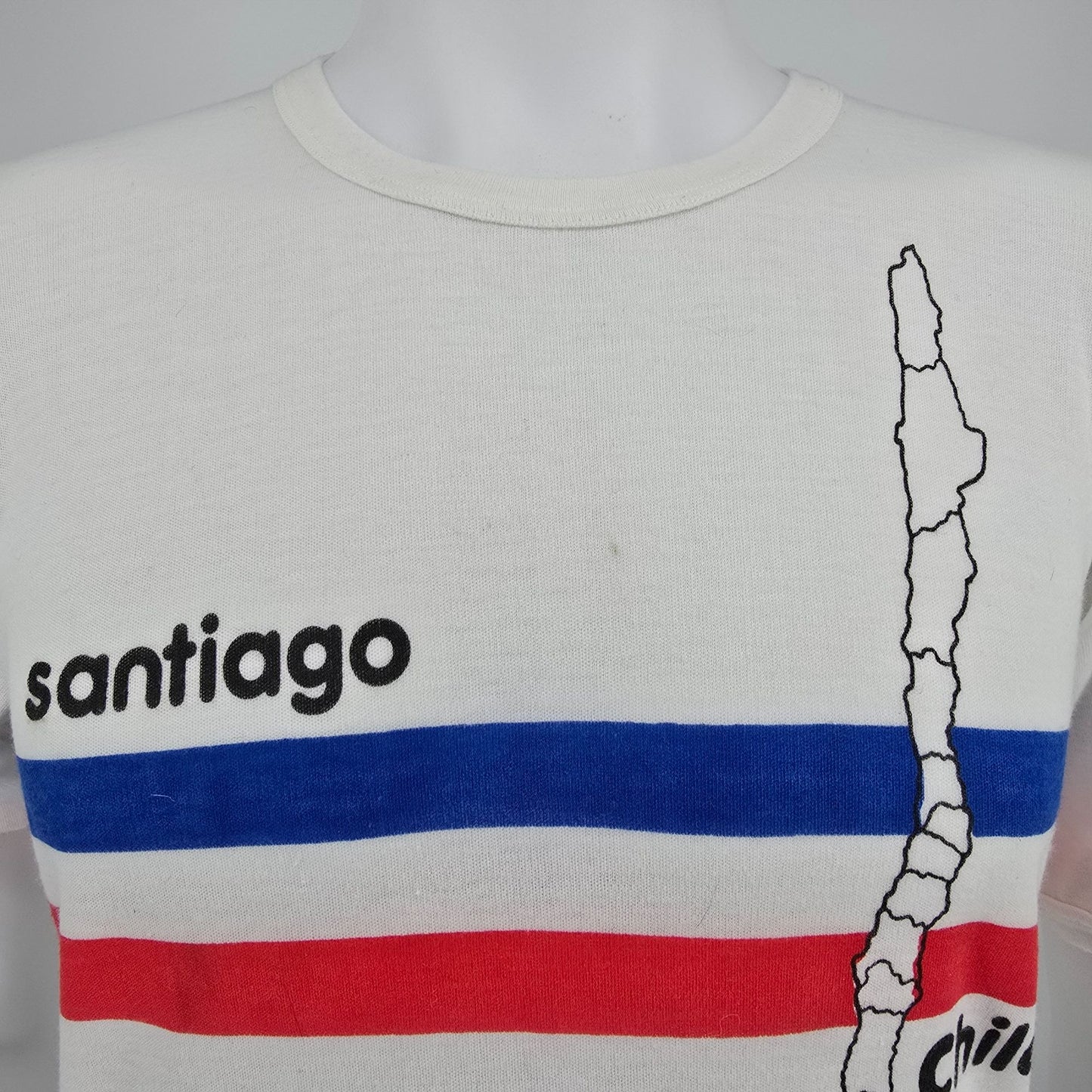Vintage 1980s YAI/Minuet Santiago Chile Flag Stripe Souvenir T-Shirt (M) *Stains