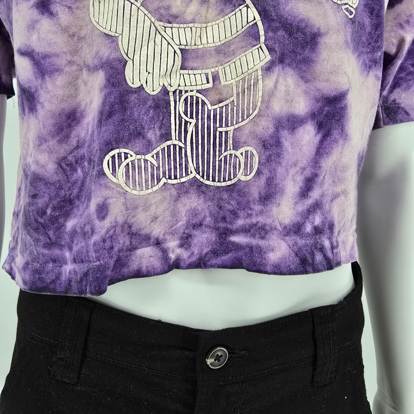 Vintage 1990s Sherry's Best Indiana Beach IB Crow Tie-Dye Crop T-Shirt (OS/L/XL)