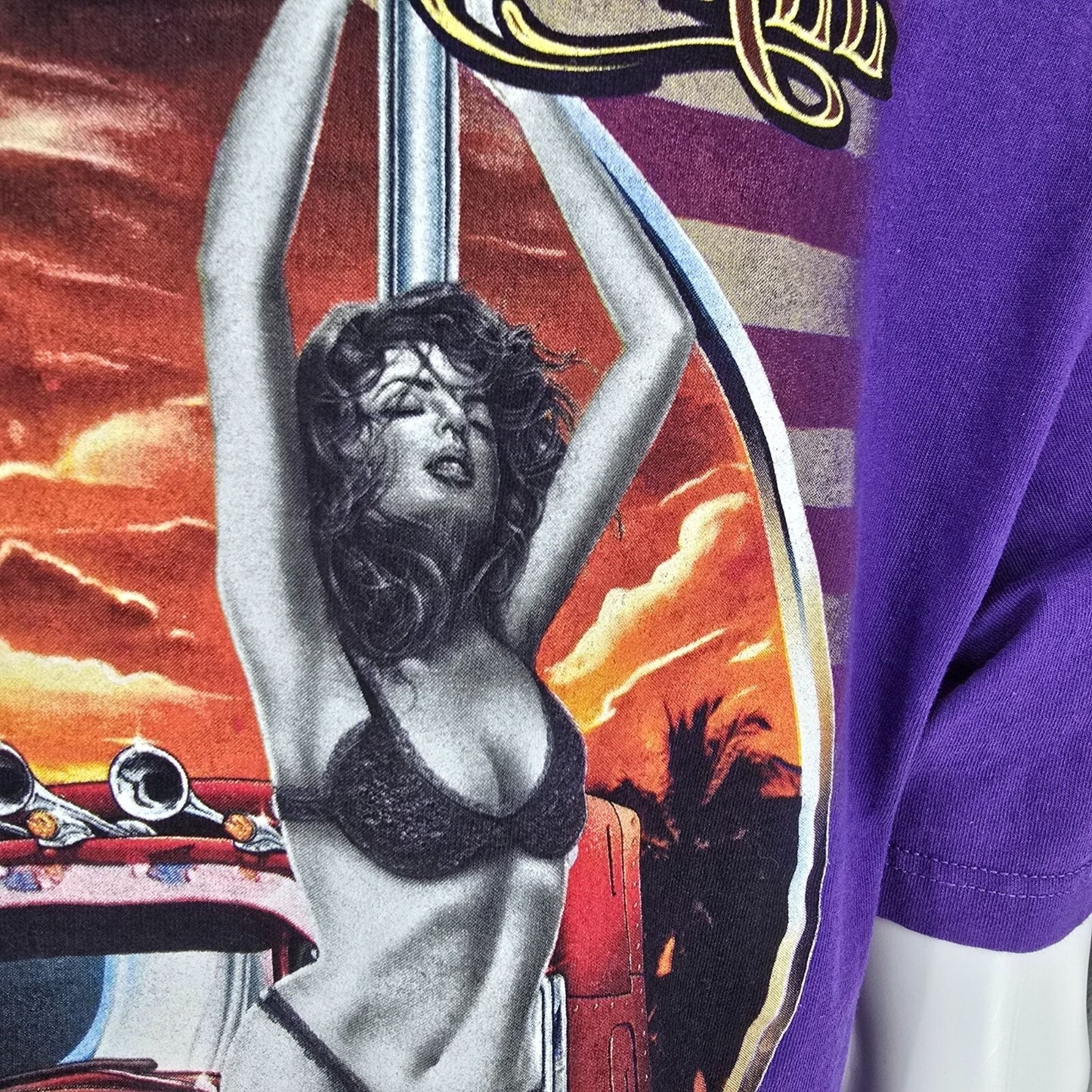 Purple Alstyle Back Graphic "Born to Be Free" Semitruck and Stripper T-Shirt (L)