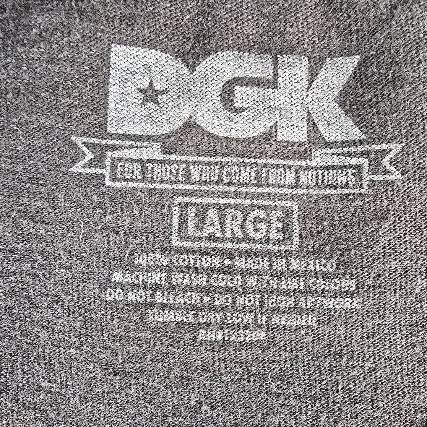 2010s DGK Dirty Ghetto Kids Pagoda and Cherry Blossom Skate Graphic T-Shirt (L)