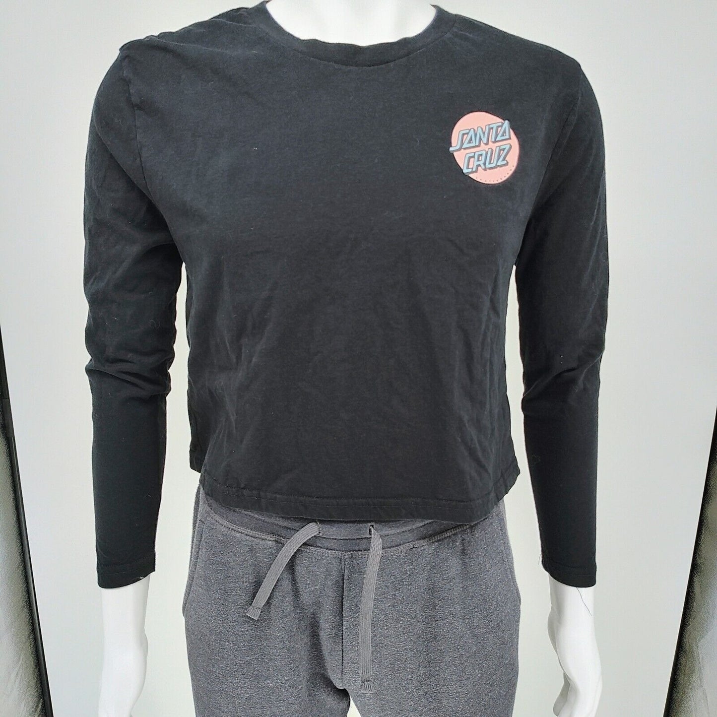 Santa Cruz Skateboards Womens Long-Sleeved Logo T-Shirt (Size 8)