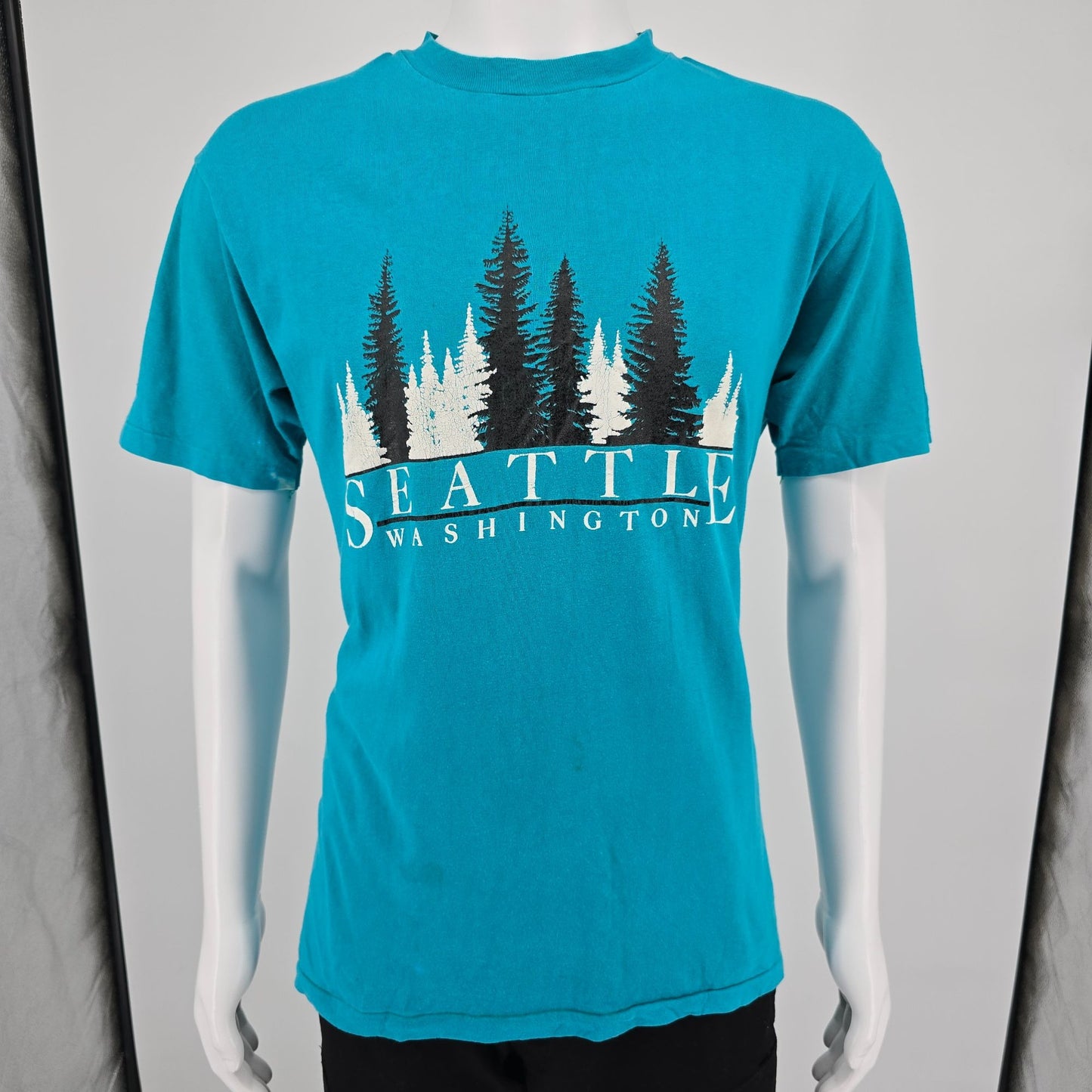 Vintage 1980s Hanes Beefy-T Seattle Washington Souvenir T-Shirt (M/L)