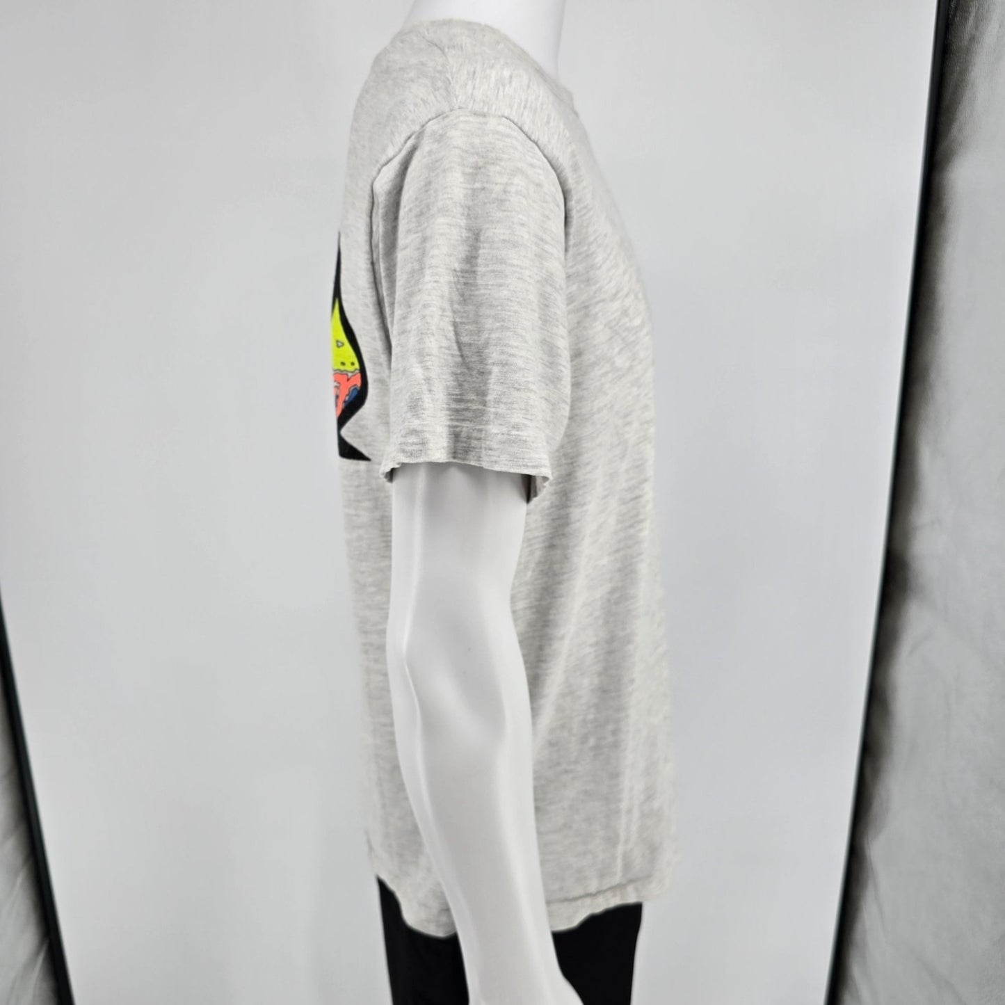 Vintage 1990s Hanes Beefy-T Dolphin Recycle Surf Graphic Made in USA T-Shirt (L)