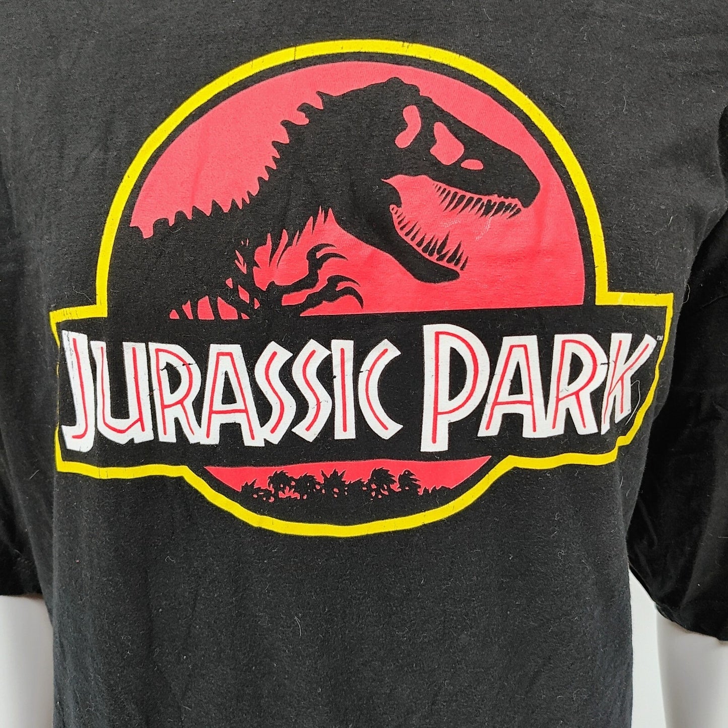 Jurassic Park Logo Black Graphic Big & Tall T-Shirt (3XL)