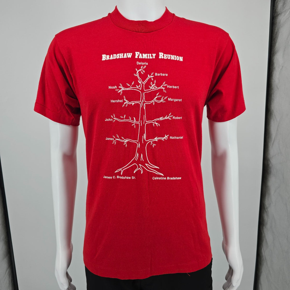 Vintage 1990s Screen Stars Best Red Bradshaw Family Reunion T-Shirt (M)