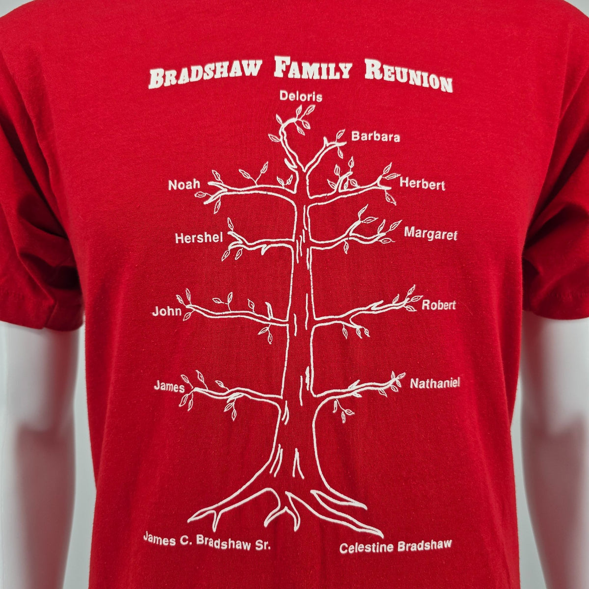 Vintage 1990s Screen Stars Best Red Bradshaw Family Reunion T-Shirt (M)