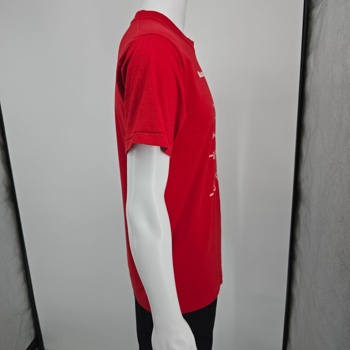 Vintage 1990s Screen Stars Best Red Bradshaw Family Reunion T-Shirt (M)