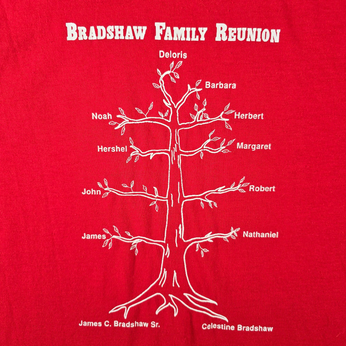 Vintage 1990s Screen Stars Best Red Bradshaw Family Reunion T-Shirt (M)