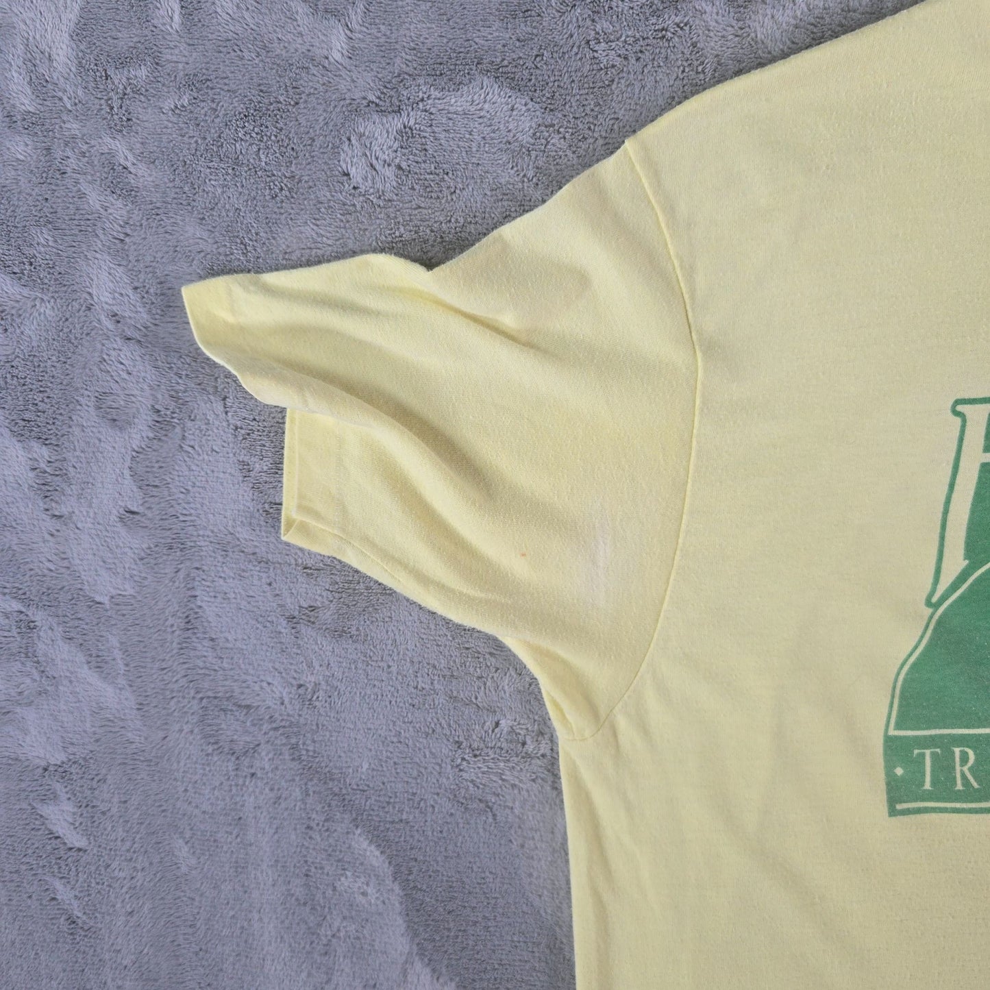 Vintage 1980s Hanes Fifty-Fifty Hershey Trolley Works Souvenir T-Shirt (S/M)