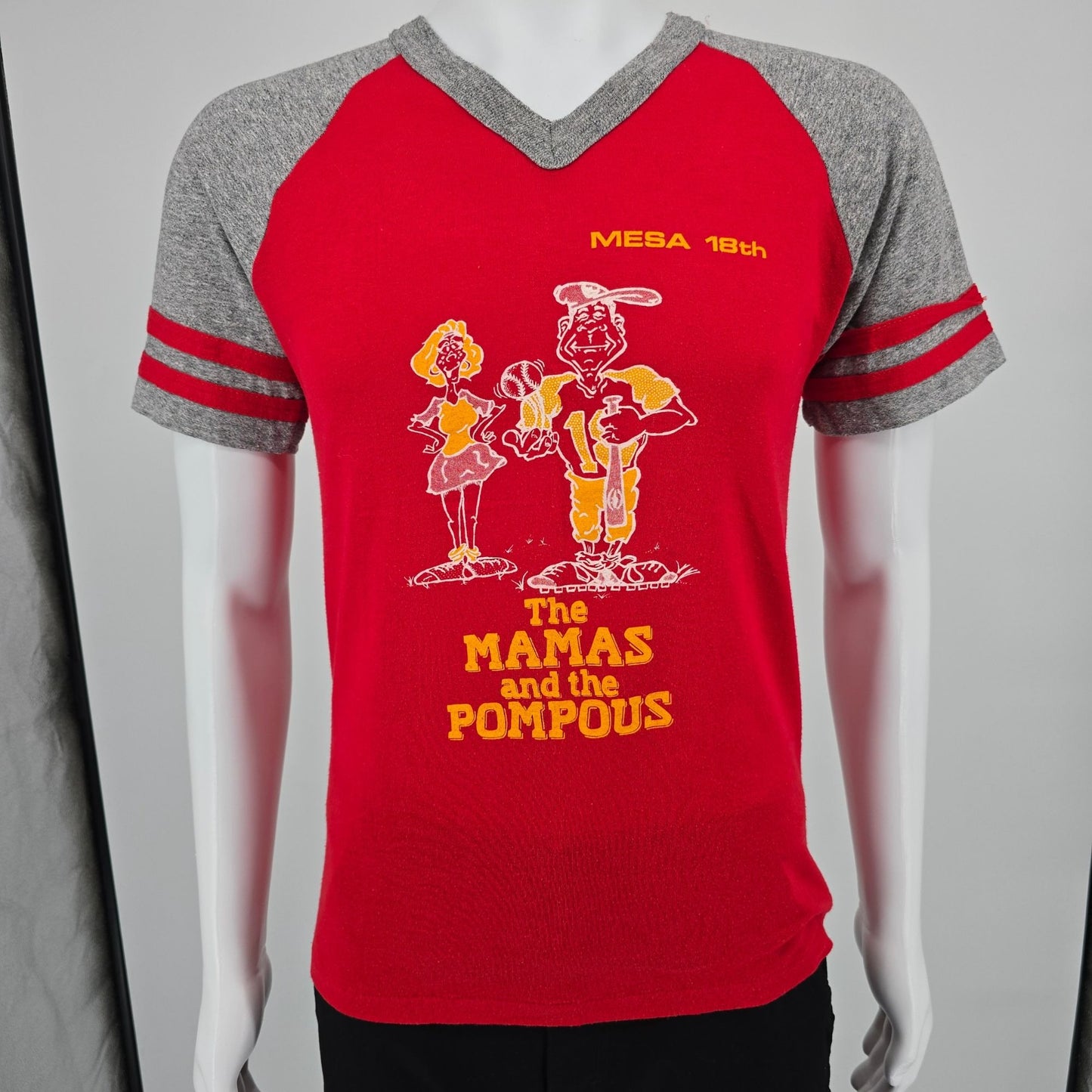 Vintage 1980s Mesa 18th "The Mamas and The Pompous" Raglan Jersey T-Shirt (M)