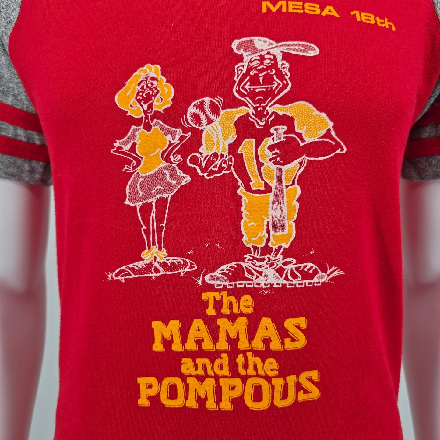 Vintage 1980s Mesa 18th "The Mamas and The Pompous" Raglan Jersey T-Shirt (M)